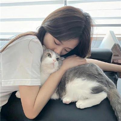 百合熊风暴